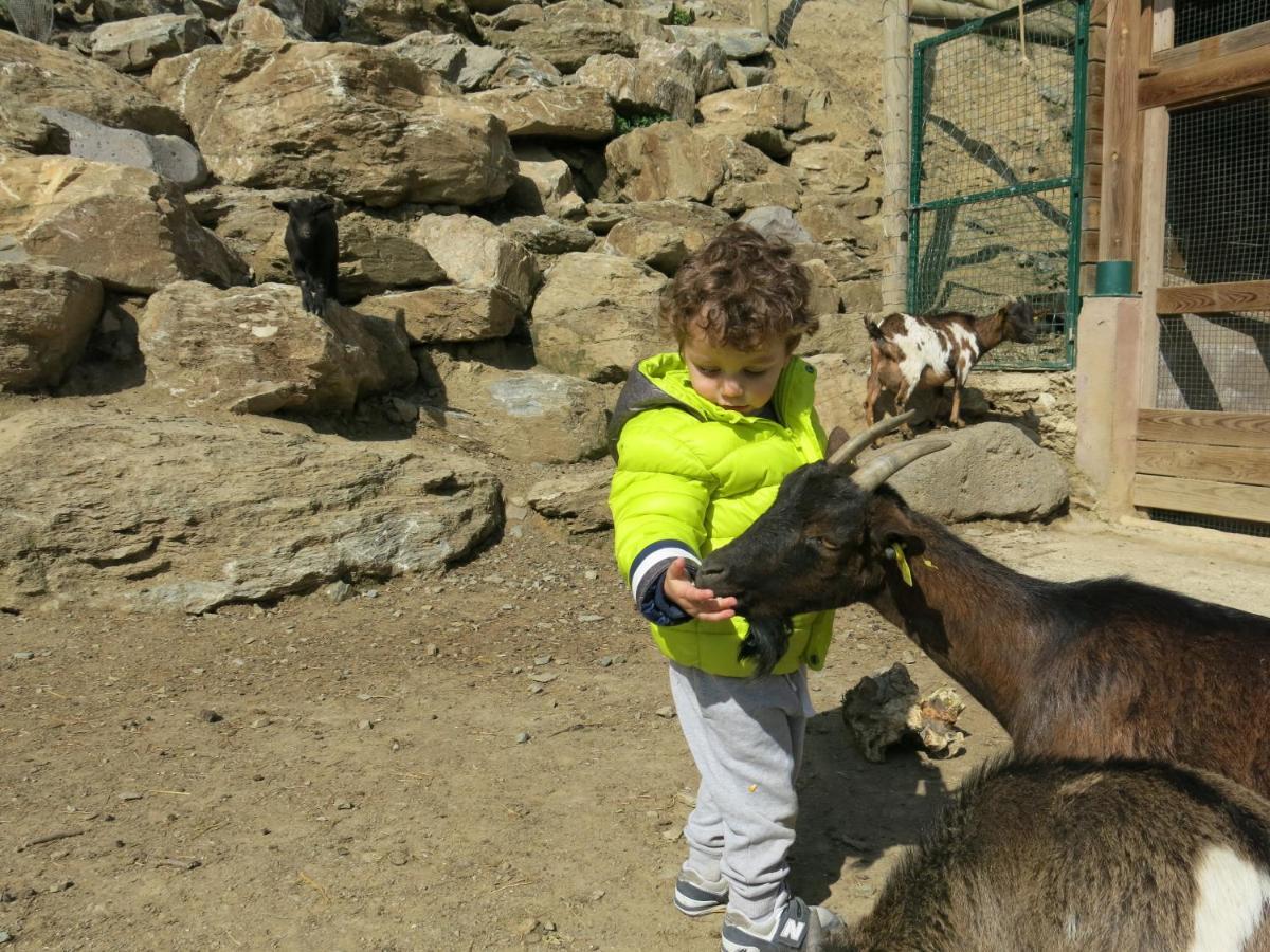 Apartamentos Rurales Les Barnedes Molló Dış mekan fotoğraf