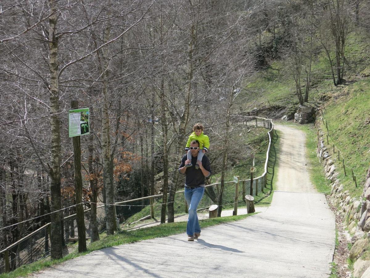 Apartamentos Rurales Les Barnedes Molló Dış mekan fotoğraf
