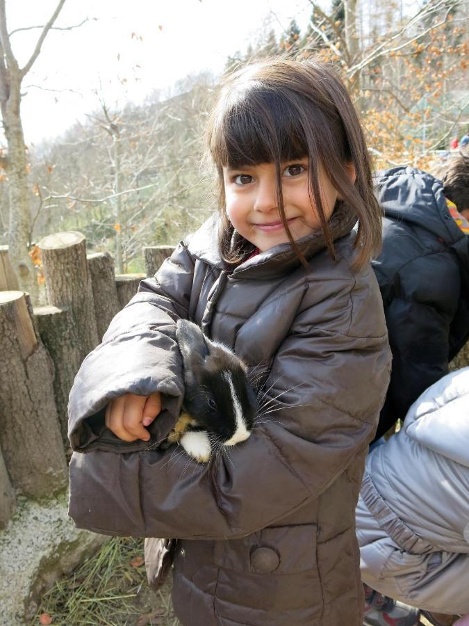 Apartamentos Rurales Les Barnedes Molló Dış mekan fotoğraf