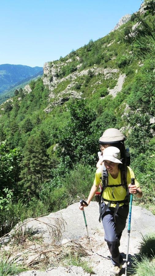 Apartamentos Rurales Les Barnedes Molló Dış mekan fotoğraf