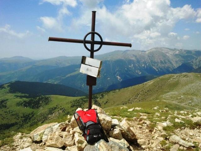 Apartamentos Rurales Les Barnedes Molló Dış mekan fotoğraf